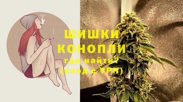ПСИЛОЦИБИНОВЫЕ ГРИБЫ Белокуриха