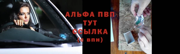 ПСИЛОЦИБИНОВЫЕ ГРИБЫ Белокуриха