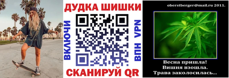 Канабис сатива  Высоцк 